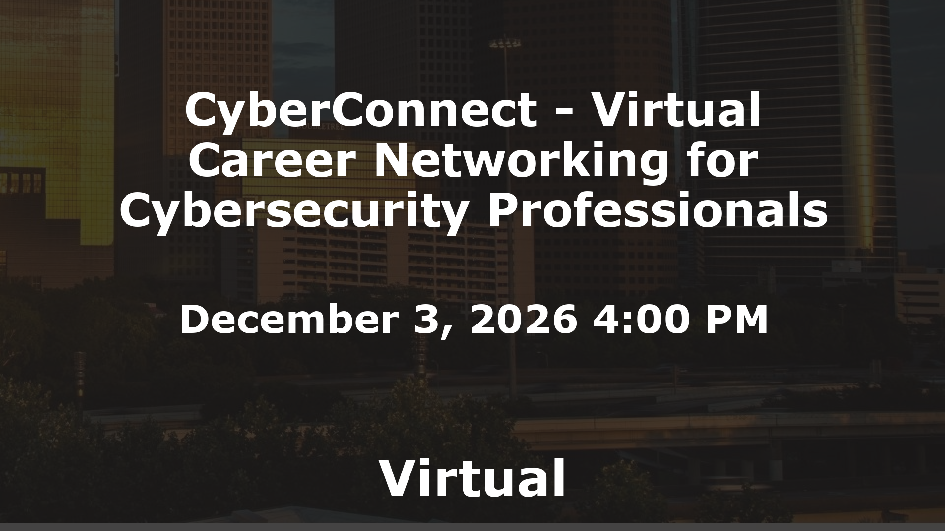 CyberConnect - Virtual Career Networking for Cybersecurity Professionals event image